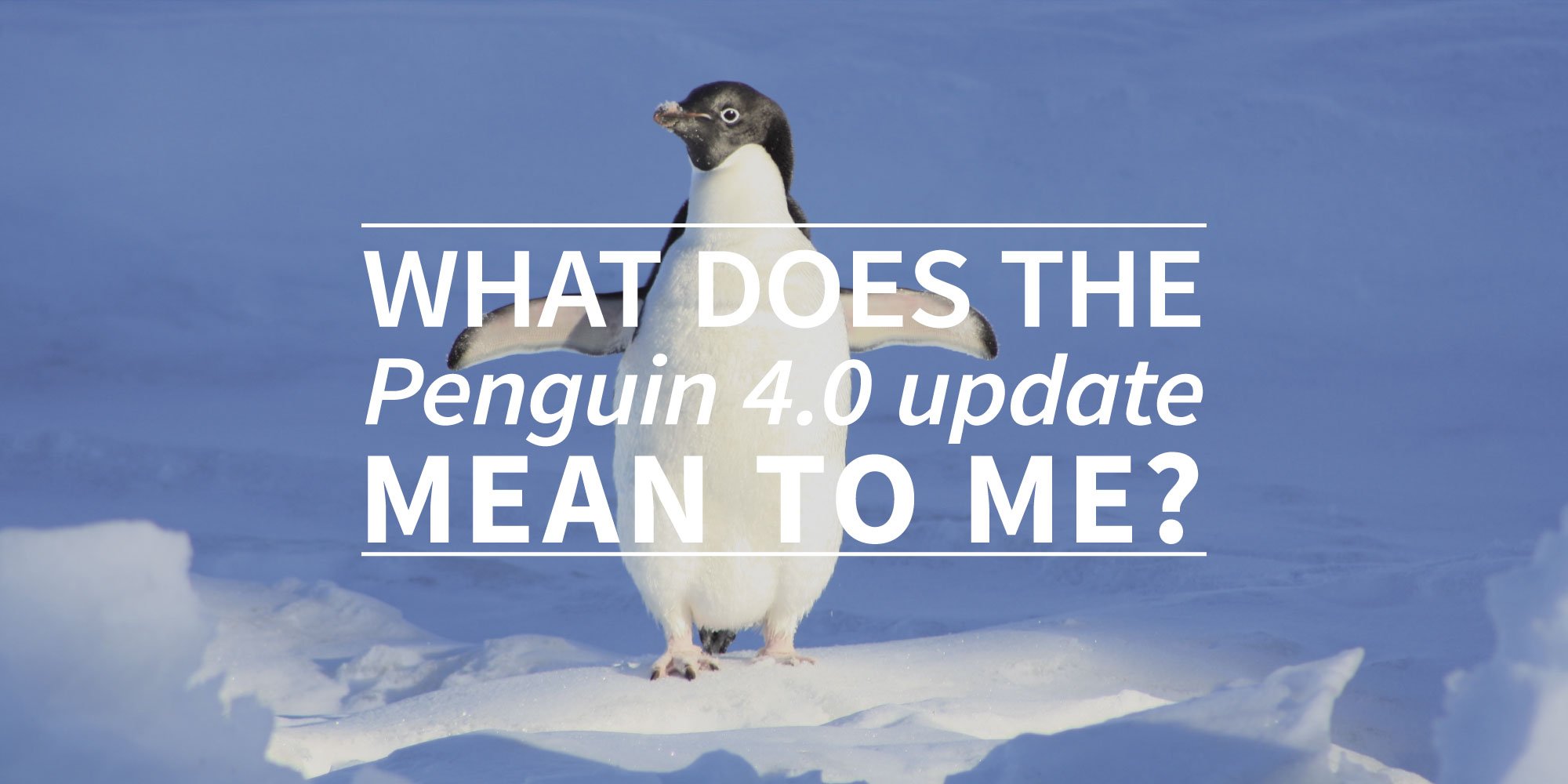 What does the penguin 4.0 update mean to me? | Textmetrics