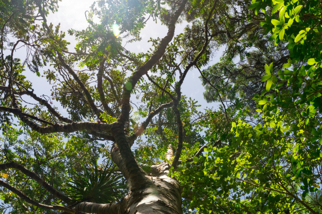 Webtexttool is now Textmetrics