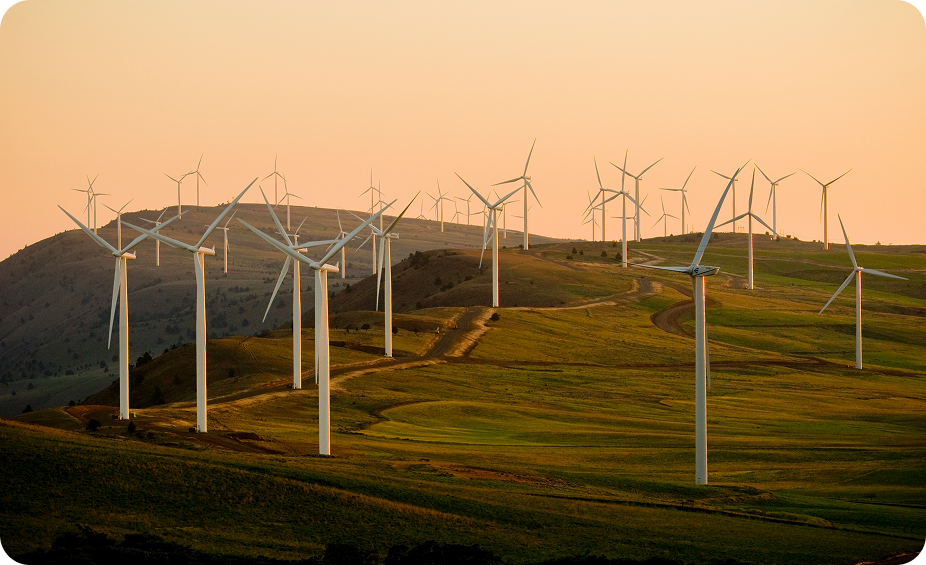 Windmolens op een weiland