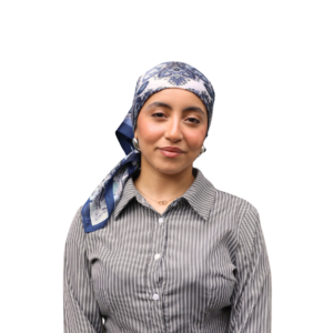 Romaissa Sales Support