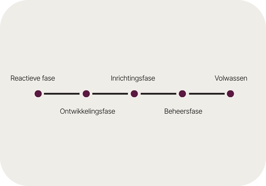 AI volwassenheid
